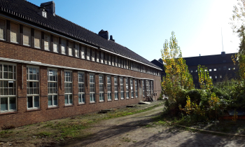 20201104_103619.jpg